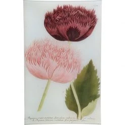 John Derian Decoupage N. 794 Crested Poppy