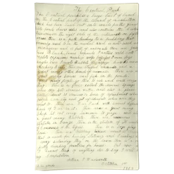 John Derian Central Park Essay Decoupage