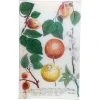 John Derian Decoupage N. 698 Apricot & Citrus