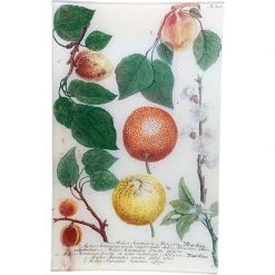 John Derian Decoupage N. 698 Apricot & Citrus