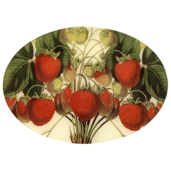 John Derian Decoupage Strawberries