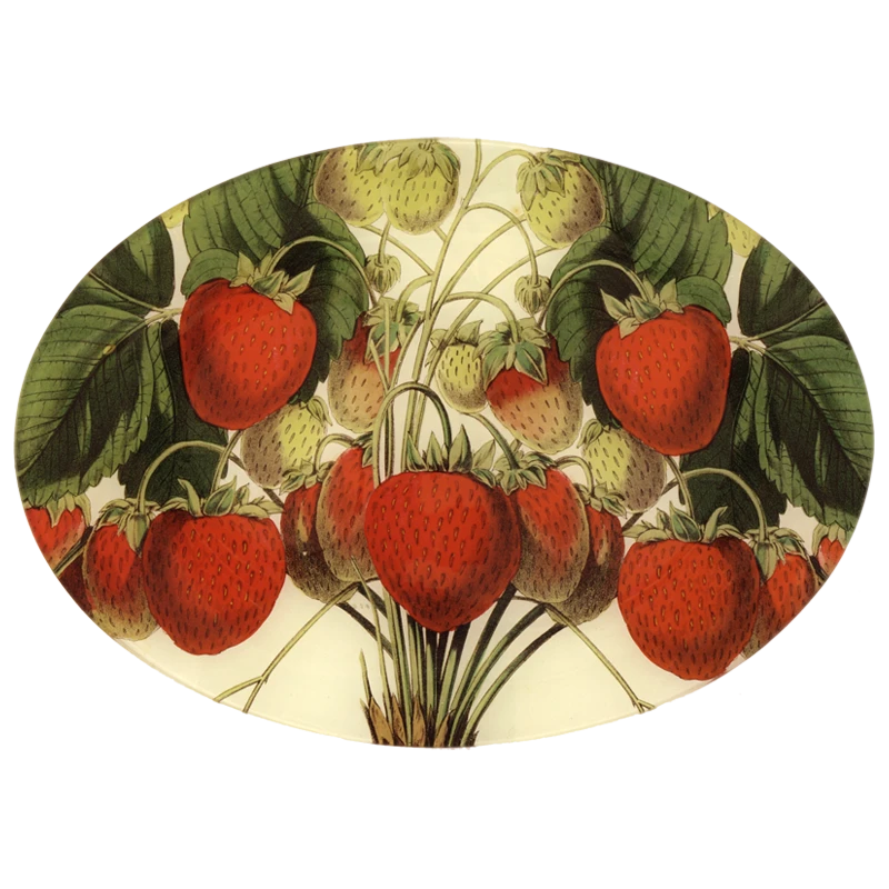 John Derian Decoupage Strawberries 3 John Derian Decoupage Strawberries