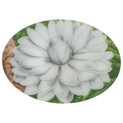 John Derian White Lily