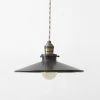 Robert Ogden Flat Pendant Lights