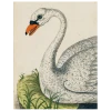 John Derian Swan (p 101) Decoupage