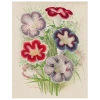 John Derian Gloxinia (p 106) Decoupage