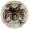 John Derian Octopus