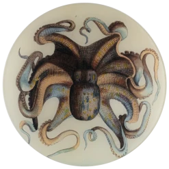 John Derian Octopus