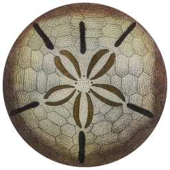 John Derian Urchin Fig. 1 Decoupage