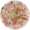 John Derian Decoupage Variegated Camellia 2 John Derian Decoupage Variegated Camellia
