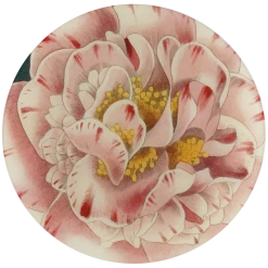 John Derian Decoupage Variegated Camellia