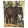 John Derian Decoupage Elephant