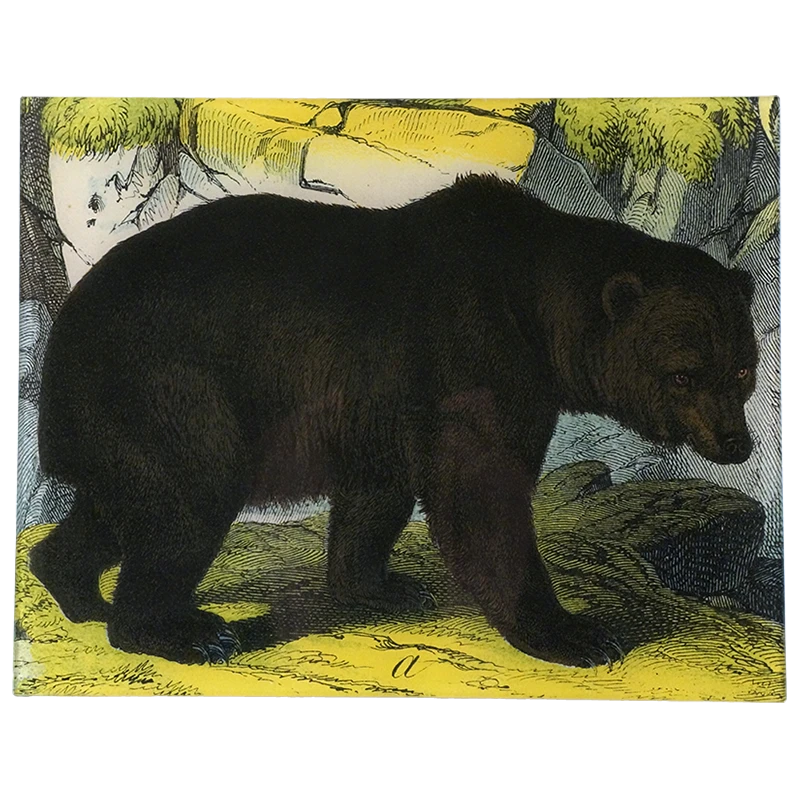 John Derian Black Bear Decoupage 3 John Derian Black Bear Decoupage
