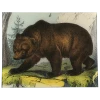John Derian Decoupage Brown Bear 2 John Derian Decoupage Brown Bear
