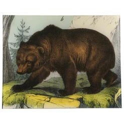 John Derian Decoupage Brown Bear