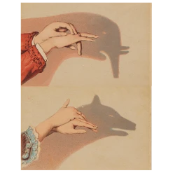 John Derian Wolf Shadow Puppet (p 112)