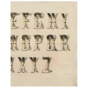 John Derian Decoupage Bent Alphabet (p 114)