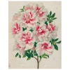 John Derian Azalea (p 115) Decoupage