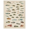John Derian Fish (p 118) Decoupage
