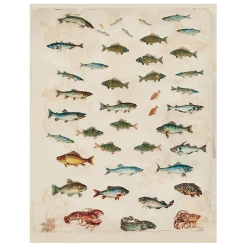 John Derian Fish (p 118) Decoupage