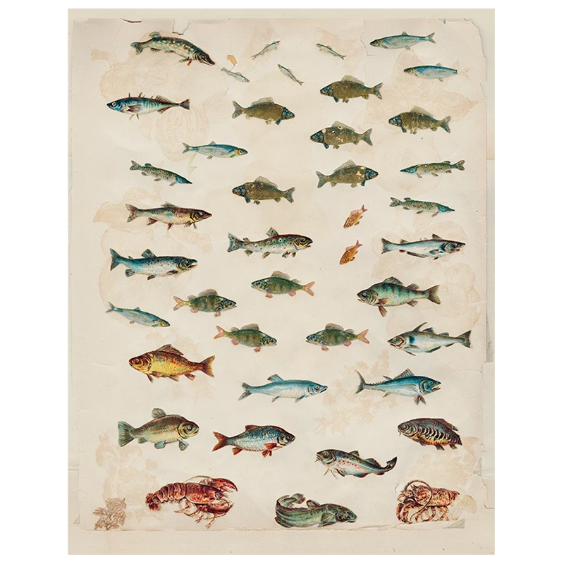 John Derian Fish (p 118) Decoupage 3 John Derian Fish (p 118) Decoupage