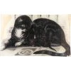 John Derian Domestic Cat Decoupage