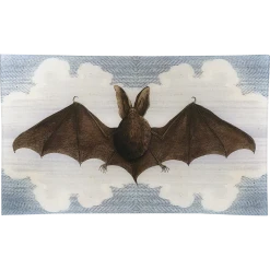 John Derian Decoupage Double-Eared Bat
