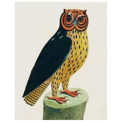 John Derian Horn Owl (p 119)