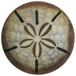 John Derian Decoupage Urchin Fig. 1