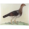 John Derian #46 - Moscovian Game Cock Decoupage