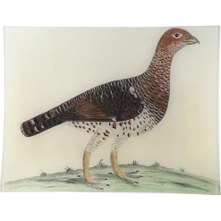 John Derian #46 - Moscovian Game Cock Decoupage