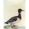 John Derian #47 - The Mallard Decoupage 1 John Derian #47 - The Mallard Decoupage