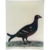 John Derian Decoupage #49 - Black Grouse 2 John Derian Decoupage #49 - Black Grouse