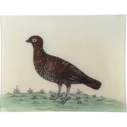 John Derian #54 - Red Game Hen Decoupage