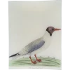 John Derian #56 - Brown Headed Gull Decoupage 2 John Derian #56 - Brown Headed Gull Decoupage