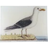 John Derian Decoupage #57 - Great Black & White Gull
