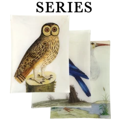 John Derian Decoupage Albin's Birds