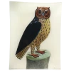 John Derian #44 - Horn Owl Decoupage 2 John Derian #44 - Horn Owl Decoupage