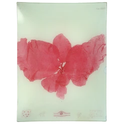 John Derian Decoupage #13 Seaweed (LXXXVII)