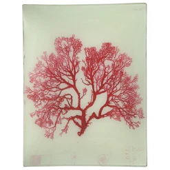 John Derian Decoupage #21 Seaweed (LIV)