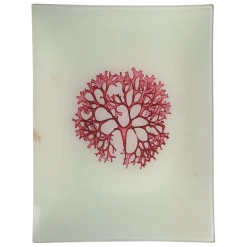 John Derian Decoupage #31 Seaweed (CCII)