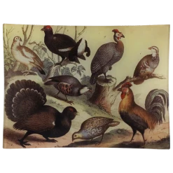 John Derian Thanksgiving & Christmas The Birds - FINAL SALE