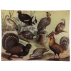 John Derian Thanksgiving & Christmas The Birds - FINAL SALE
