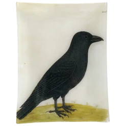 John Derian #8 - Raven (Right)