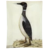 John Derian #19 - Speckled Loon Decoupage