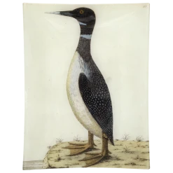 John Derian #19 - Speckled Loon Decoupage