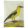 John Derian #20 - Bengali Yellow Bird 1 John Derian #20 - Bengali Yellow Bird
