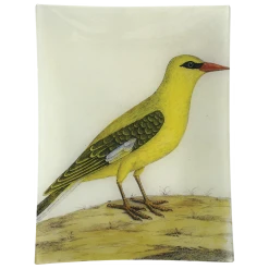 John Derian #20 - Bengali Yellow Bird
