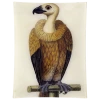 John Derian Decoupage #26 - Vulture 1 John Derian Decoupage #26 - Vulture