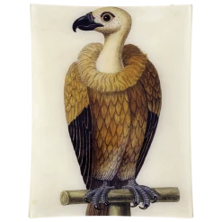 John Derian Decoupage #26 - Vulture